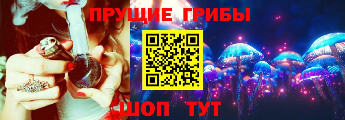 Галлюциногенные грибы Psilocybine cubensis  купить   Псилоцибиновые грибы Psilocybine cubensis  Казань  Вход с VPN 