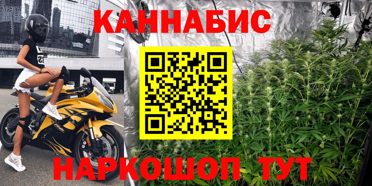 Канабис конопля Казань